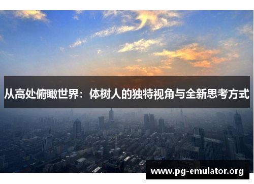 从高处俯瞰世界：体树人的独特视角与全新思考方式