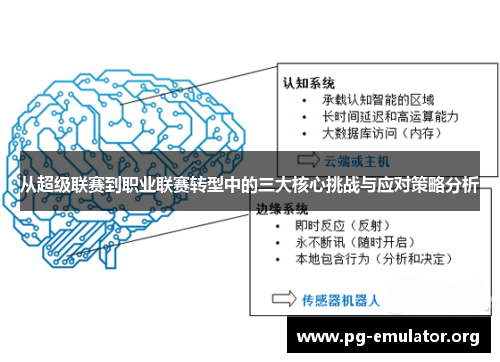 从超级联赛到职业联赛转型中的三大核心挑战与应对策略分析