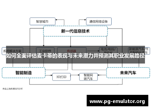 如何全面评估麦卡蒂的表现与未来潜力并预测其职业发展路径