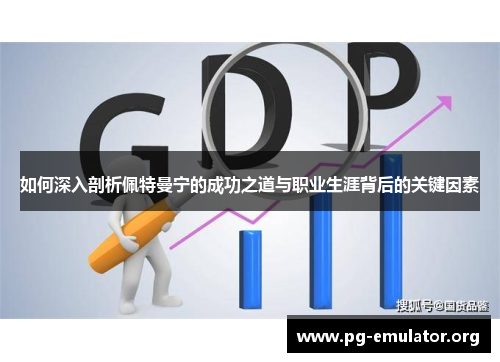 如何深入剖析佩特曼宁的成功之道与职业生涯背后的关键因素