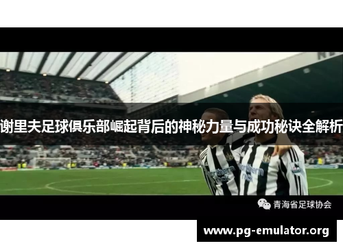 谢里夫足球俱乐部崛起背后的神秘力量与成功秘诀全解析