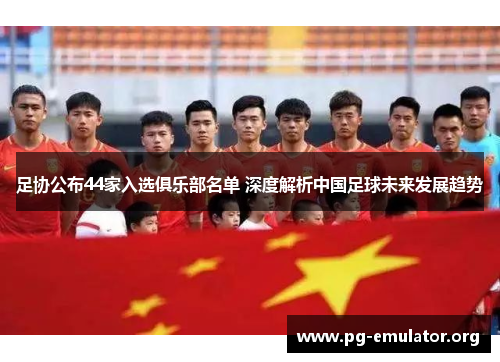 足协公布44家入选俱乐部名单 深度解析中国足球未来发展趋势