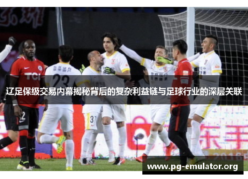 辽足保级交易内幕揭秘背后的复杂利益链与足球行业的深层关联 辽足保级交易内幕揭秘背后的复杂利益链与足球行业的深层关联