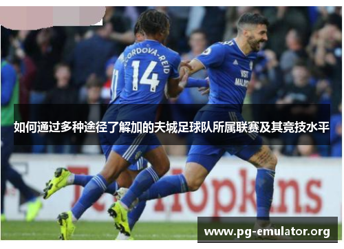 如何通过多种途径了解加的夫城足球队所属联赛及其竞技水平