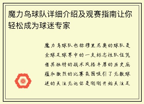 魔力鸟球队详细介绍及观赛指南让你轻松成为球迷专家 魔力鸟球队详细介绍及观赛指南让你轻松成为球迷专家